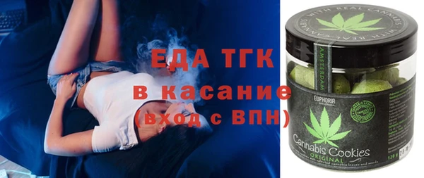 хмурый Арсеньев
