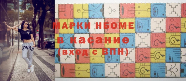 хмурый Арсеньев