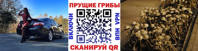 наркотики  Строитель  Галлюциногенные грибы GOLDEN TEACHER 