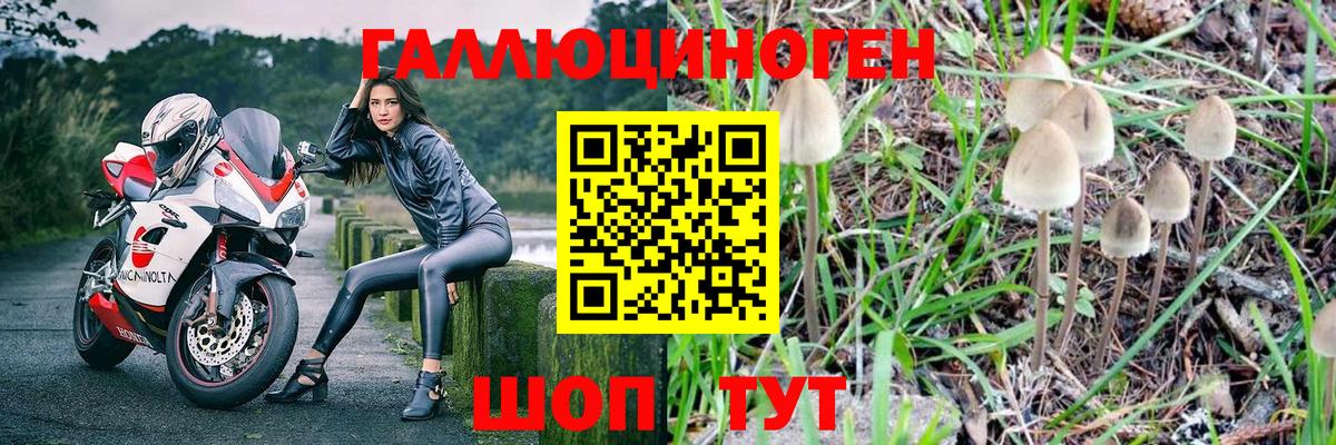 Галлюциногенные грибы мухоморы Строитель