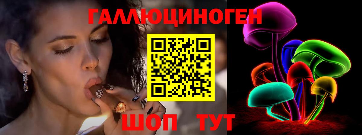 Строитель  Галлюциногенные грибы Psilocybine cubensis  Вход с VPN 